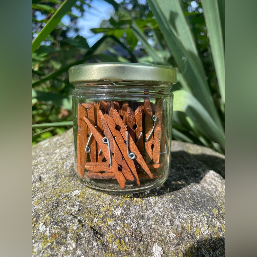 Mini Wooden Clothespins in Glass Jar